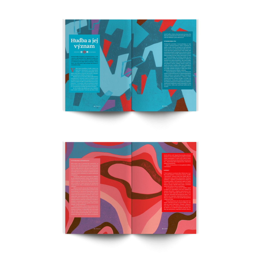 Стандартно списание № 13