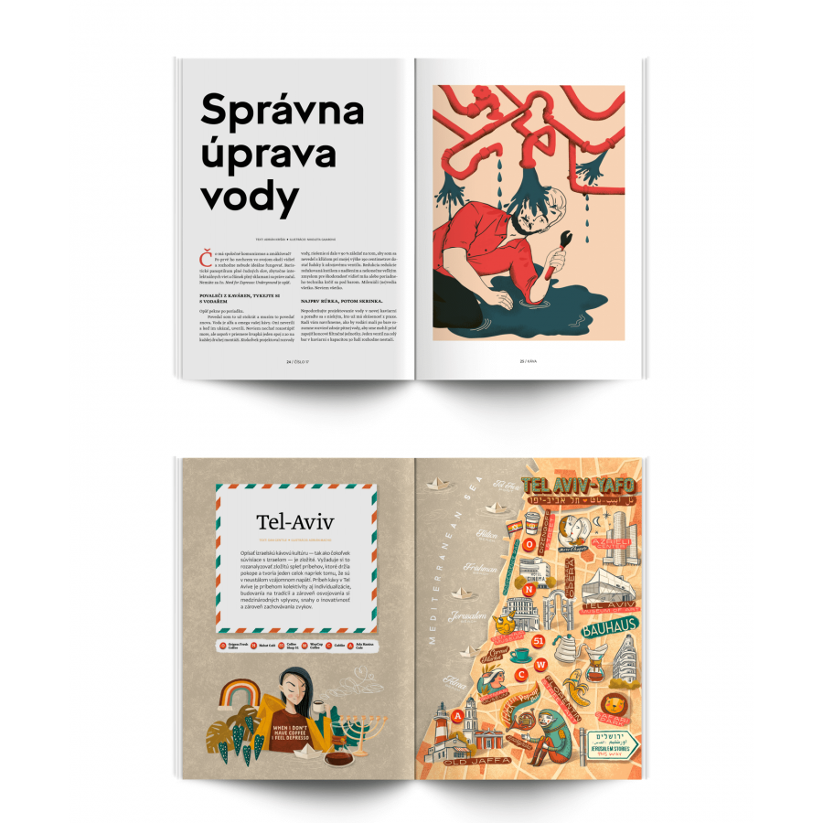 Стандартно списание № 17