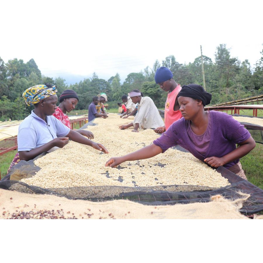 Nordbeans Kenya Mutitu PB 200g