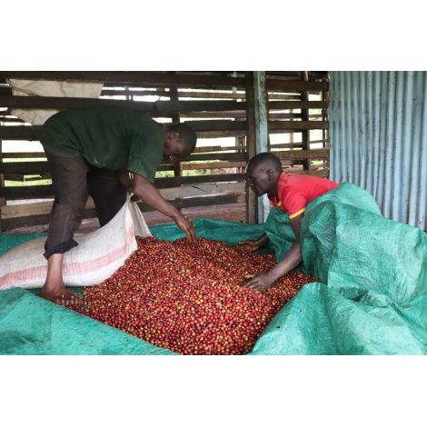 Nordbeans Kenya Mutitu PB 200g