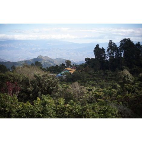 Nordbeans Гватемала WHITE FLAG 200g