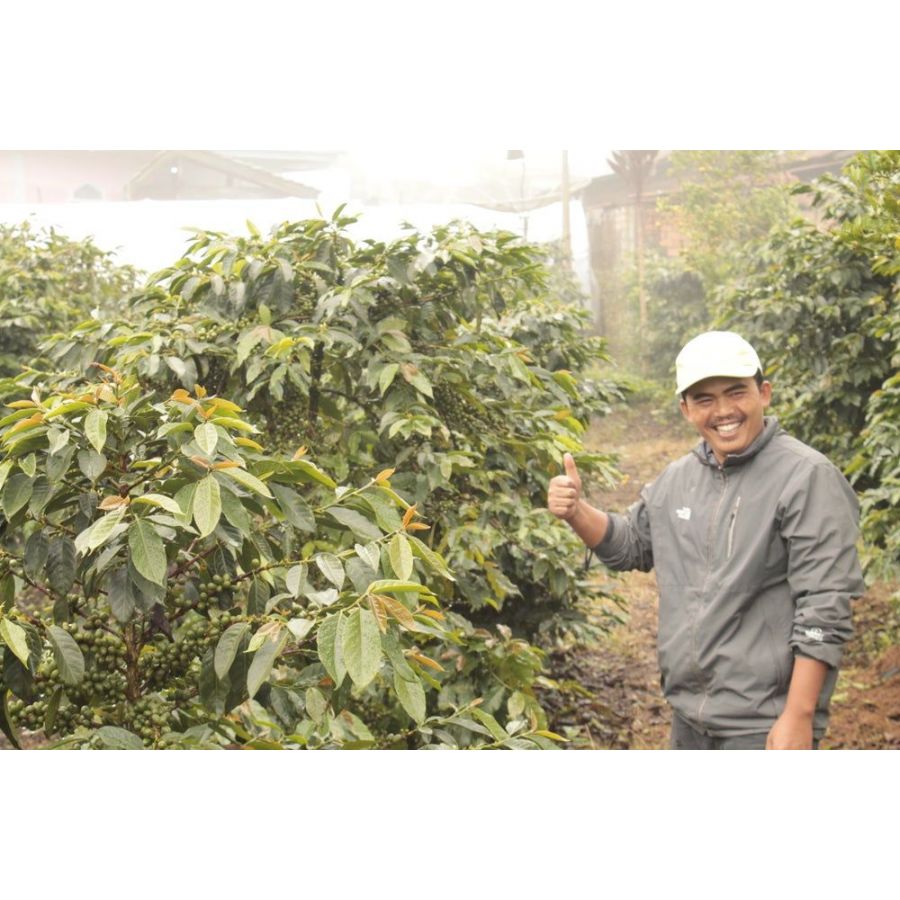 Nordbeans Индонезия Kerinci Gunung 200g