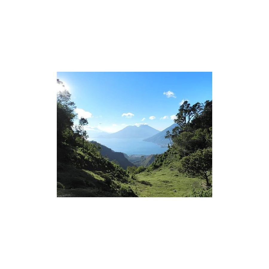 The Miners Гватемала Primavera DECAF 250 г