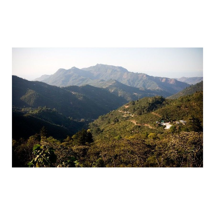 Гватемала Трeс Мария, кафе на зърна арабика