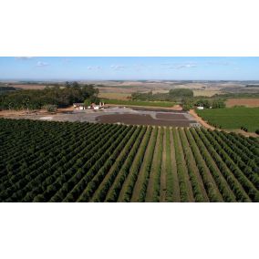 Nordbeans Horizont за еспресо 250 г 2