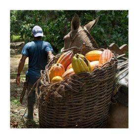 Шоколад Michel Cluizel Arcango Grand Noir 85% 2