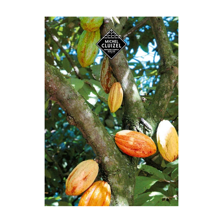 Шоколадова бонбониера Michel Cluizel "8 Cappuccino"