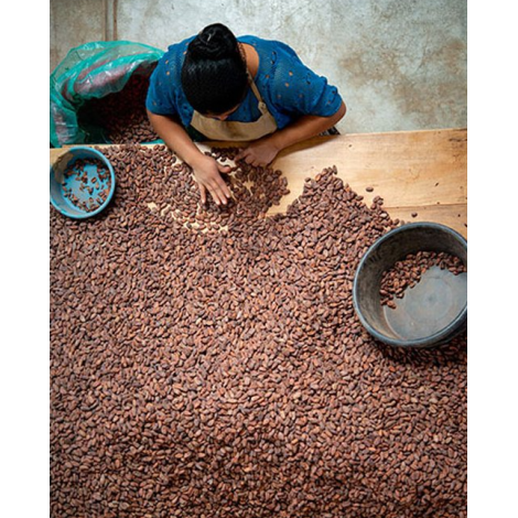 Шоколадова бонбониера Michel Cluizel "8 Cappuccino"