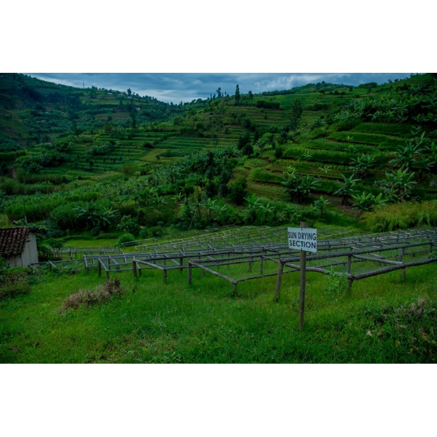 GourmetCoffee Specialty - Руанда Ngororero 250g