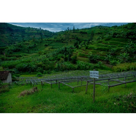 GourmetCoffee Specialty - Руанда Ngororero 250g