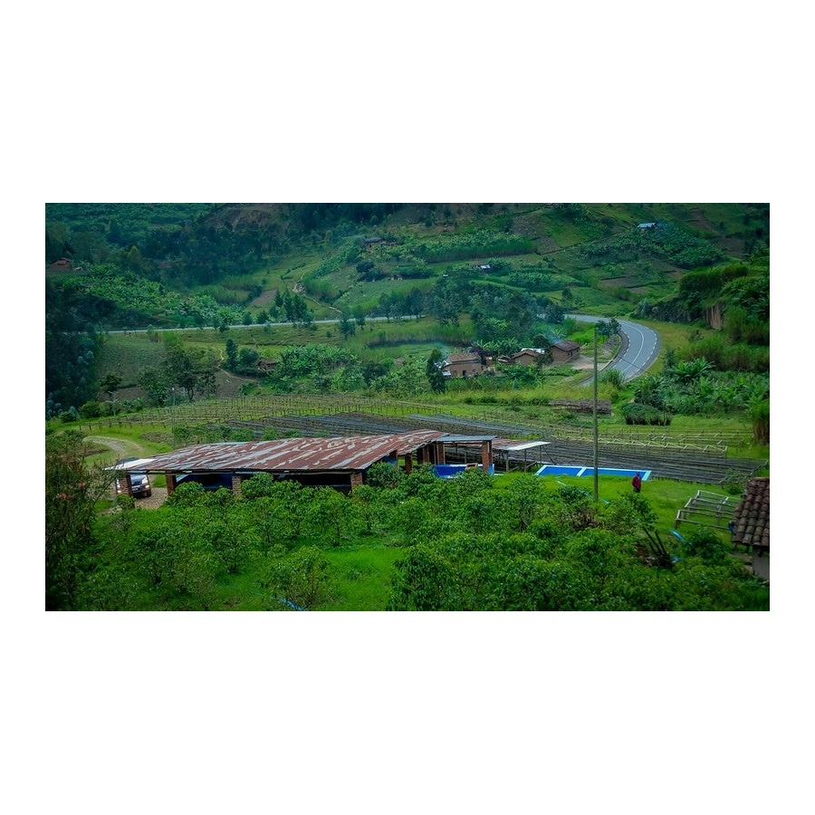 GourmetCoffee Specialty - Руанда Ngororero 250g