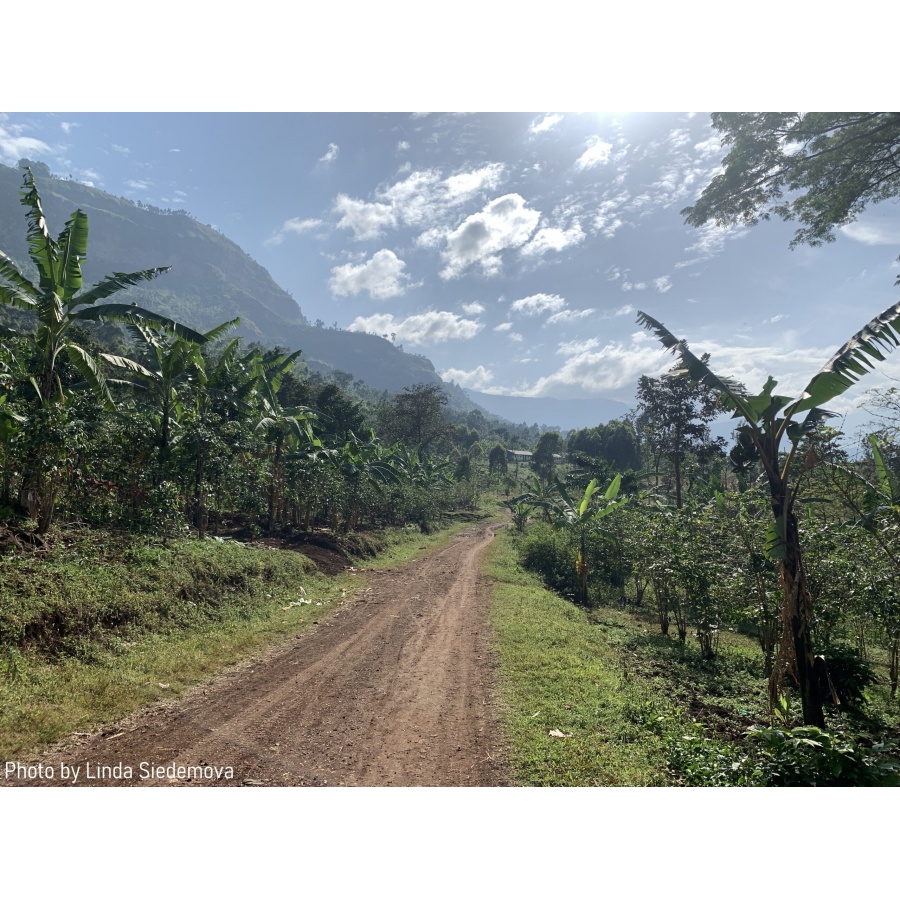 GourmetCoffee Specialty Uganda Buwobodeya 250g