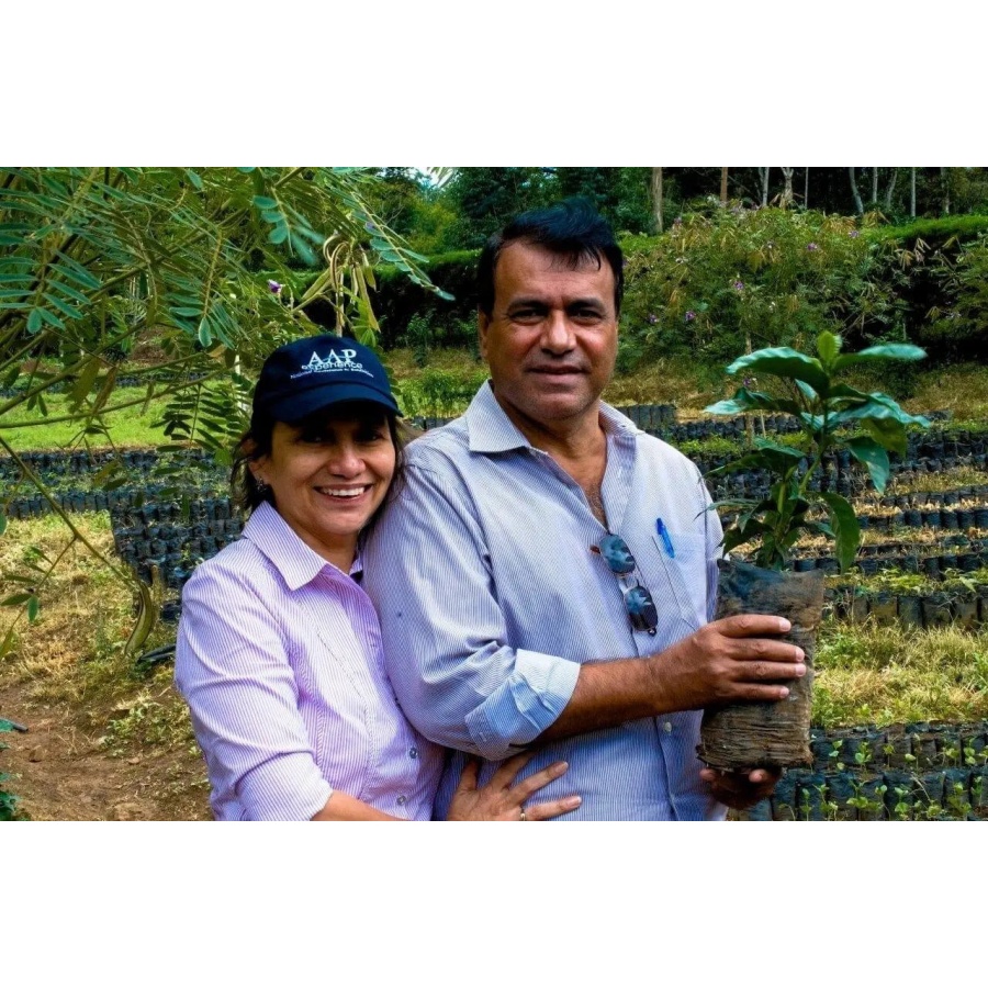 Beansmiths Никарагуа - Finca Aurora, 250g