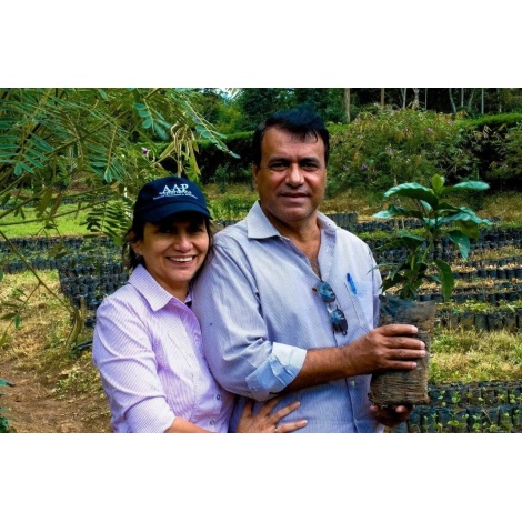 Beansmiths Никарагуа - Finca Aurora, 250g