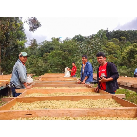 Beansmiths Никарагуа - Finca Aurora, 250g