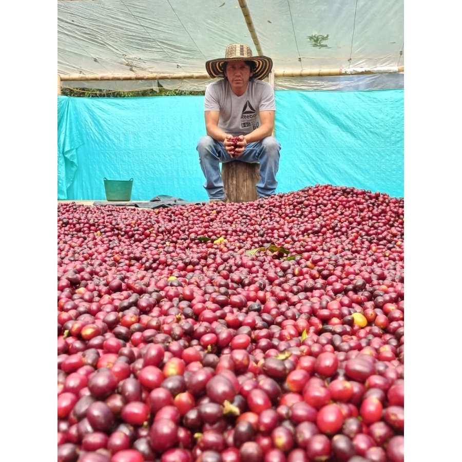 GourmetCoffee Specialty Колумбия El Agrado Honey 250g