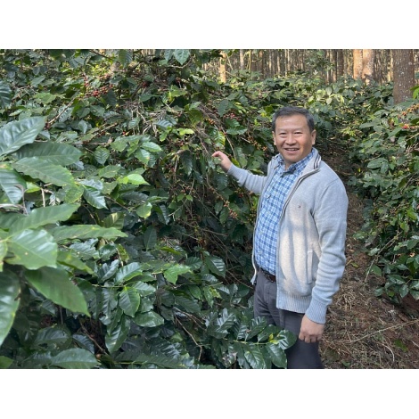 Dos Mundos Myanmar U Sai Wan 250g