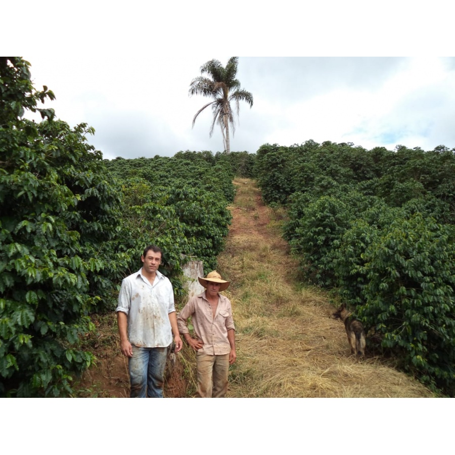 GourmetCoffee Specialty - Brasil Honorio 250g