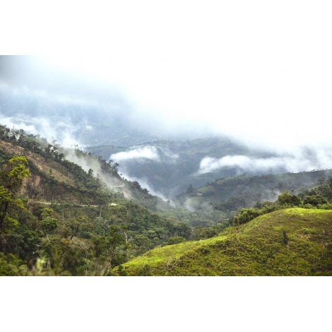 GourmetCoffee Specialty - Перу T. Sachez 250g