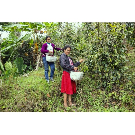 GourmetCoffee Specialty - Перу T. Sachez 250g