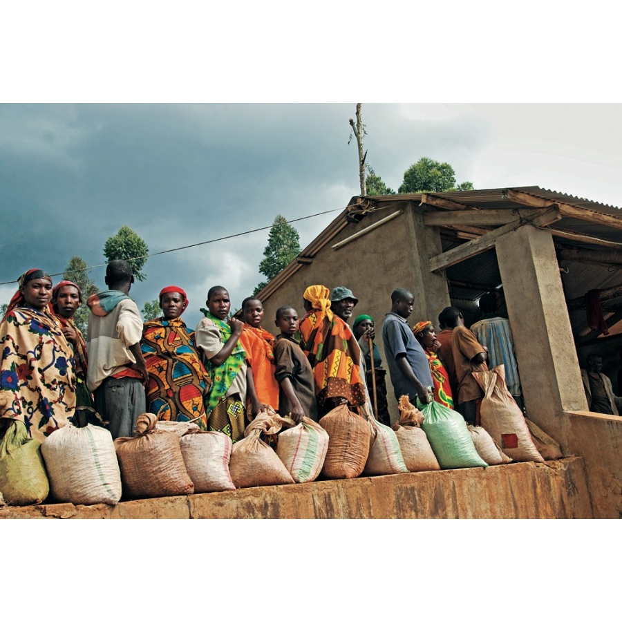 Книга: Световният атлас на кафето - Джеймс Хофман - второ издание (EN)