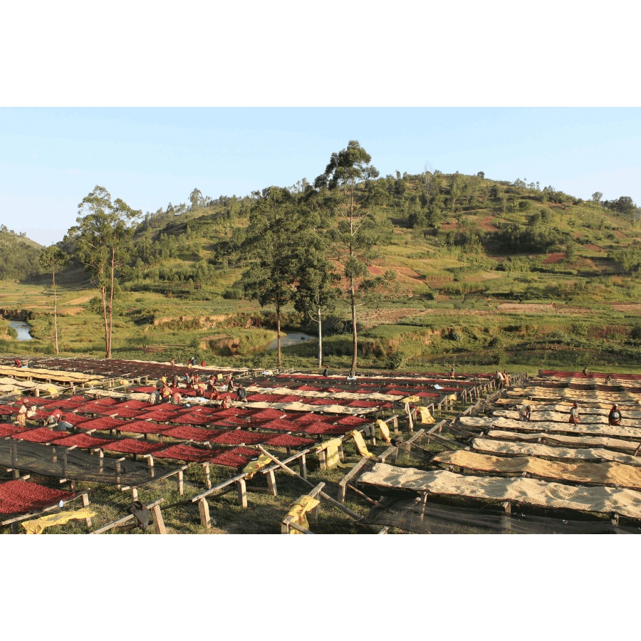 GourmetCoffee Specialty Burundi Gakenke 250g