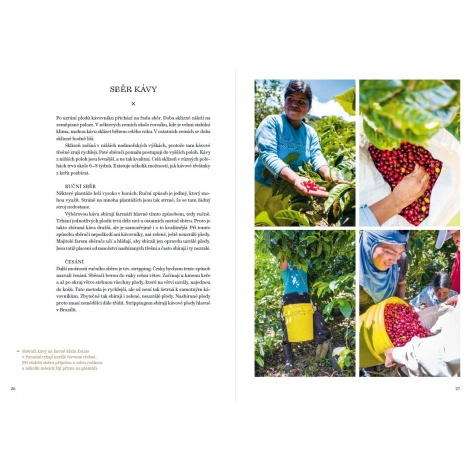 Wielka księga kawy - Petra Veselá