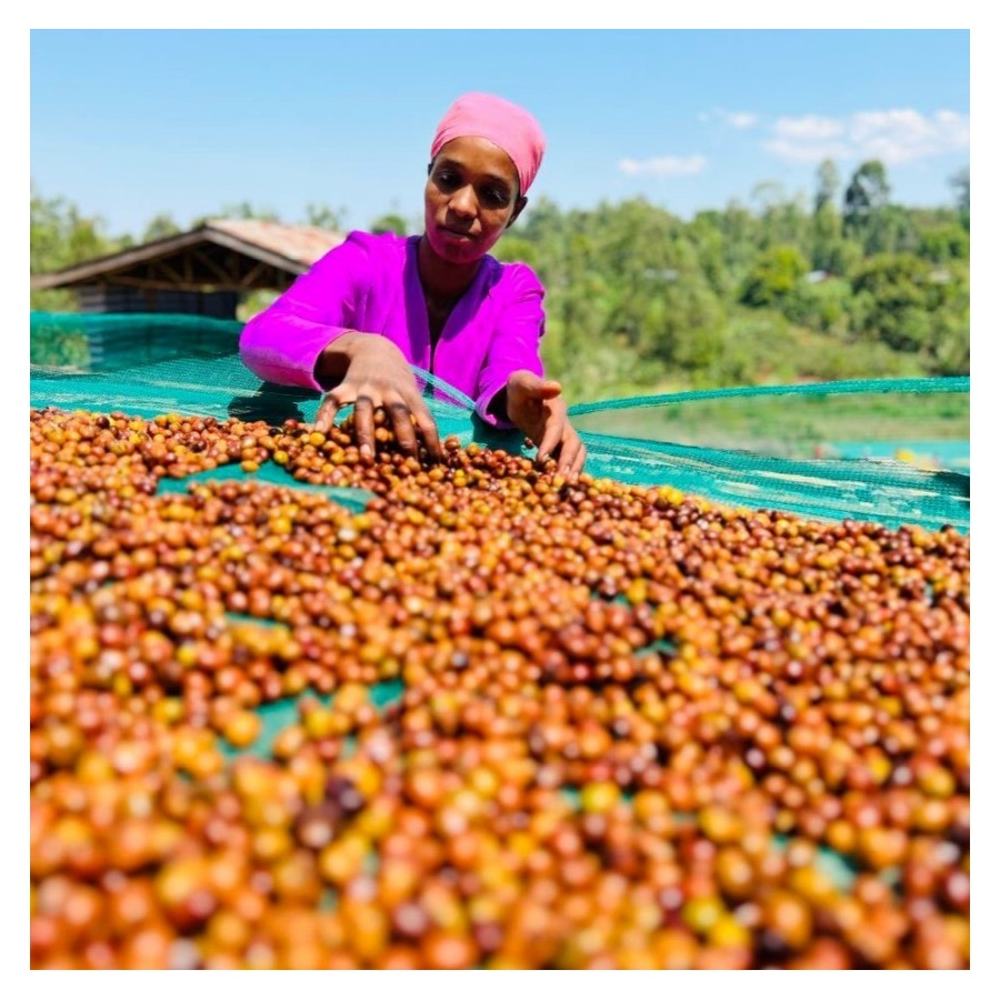 Nordbeans Ethiopia FUNKY 250g