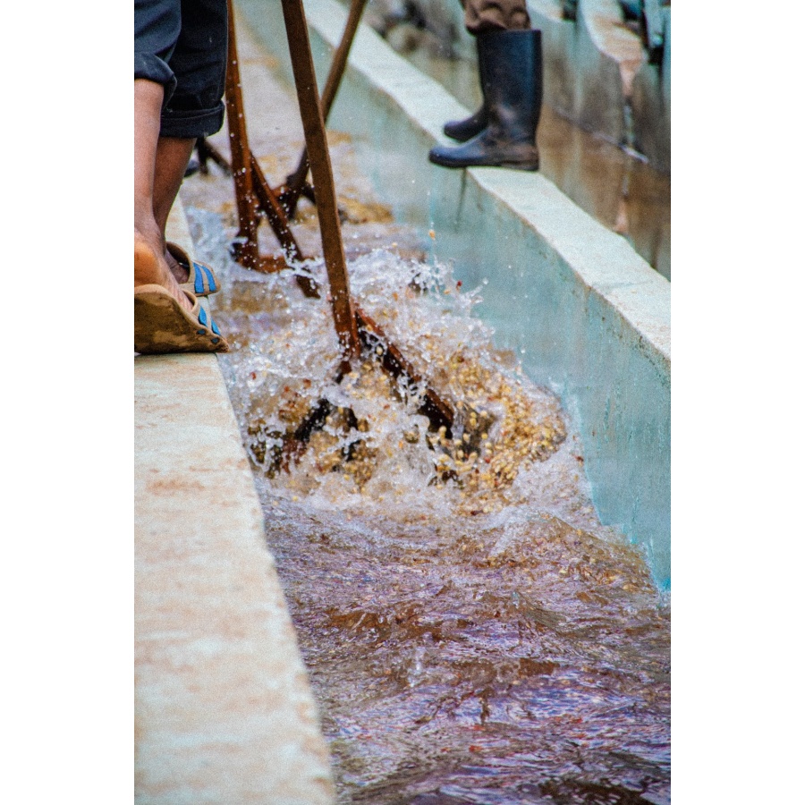 GourmetCoffee Specialty Кения Baragwi - Guama AA 250g