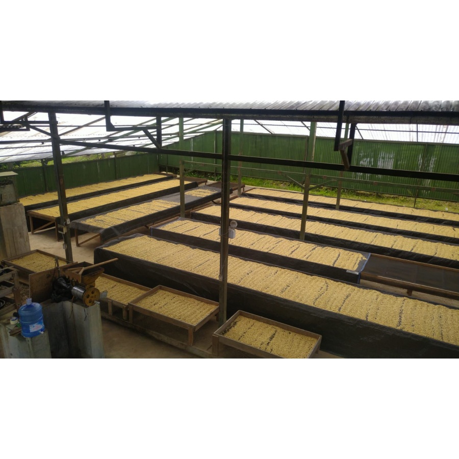 GourmetCoffee Specialty Peru Monterverde 250g