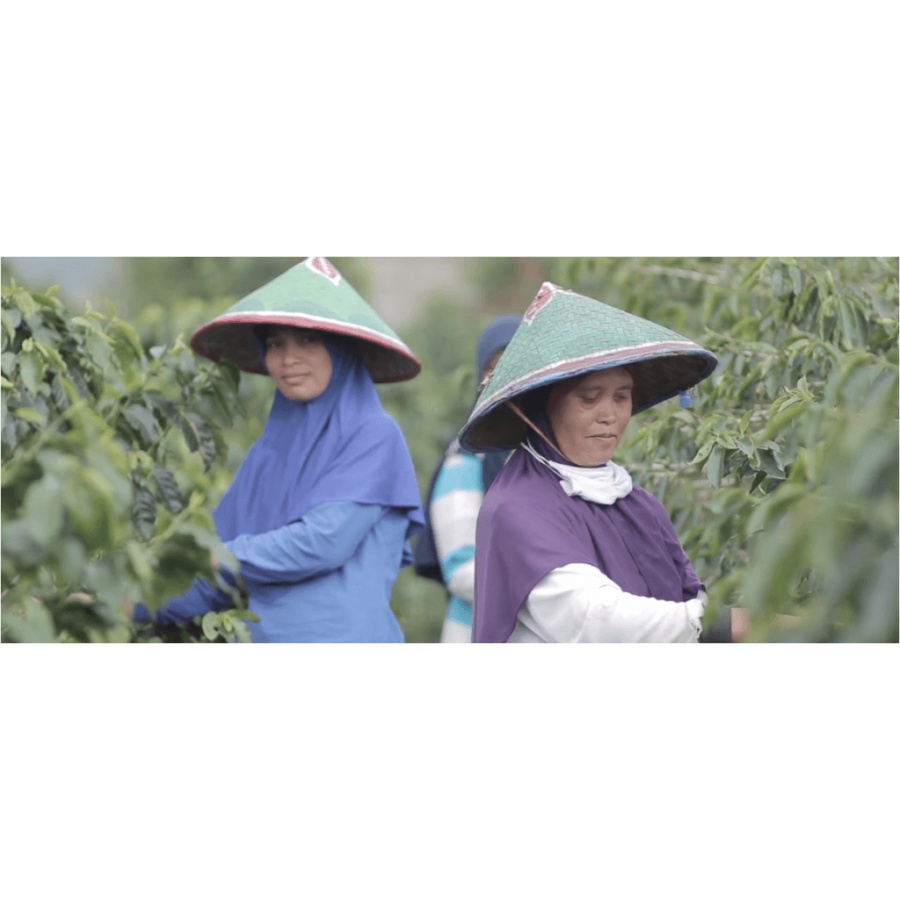 Beansmiths Indonesia Koerintji Barokah AN-H 250g