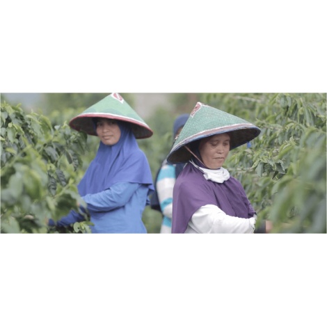 Beansmiths Indonesia Koerintji Barokah AN-H 250g