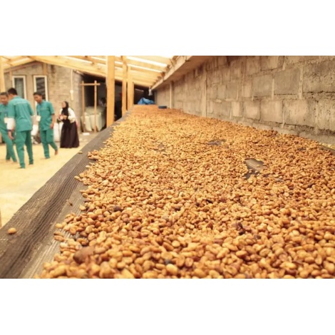 Beansmiths Indonesia Koerintji Barokah AN-H 250g