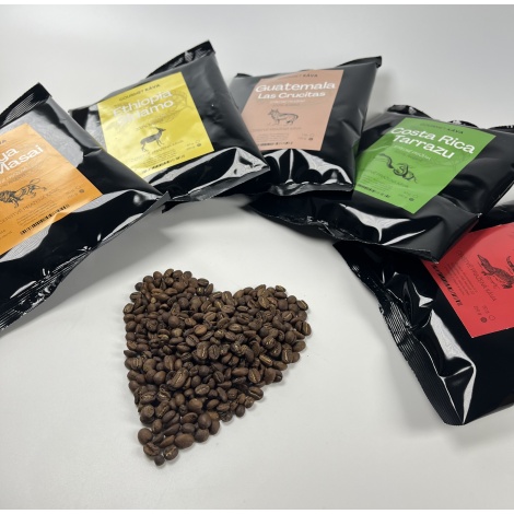 Кения Топ Масаи, СРЕДНО ИЗПЕЧЕНА, зърнеста кафе арабика