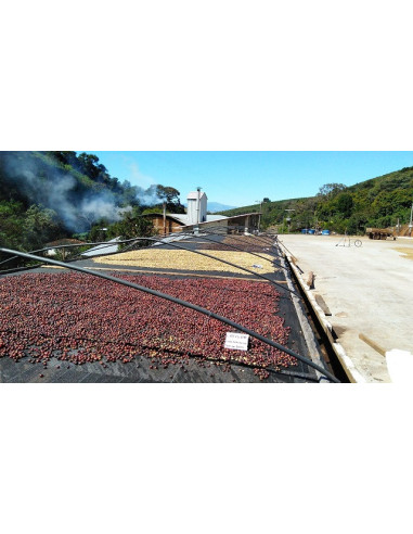 GourmetCoffee Specialty Brazil Freitas ESP 250g