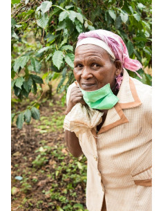 GourmetCoffee Specialty - Кения Nyeri 250g 2