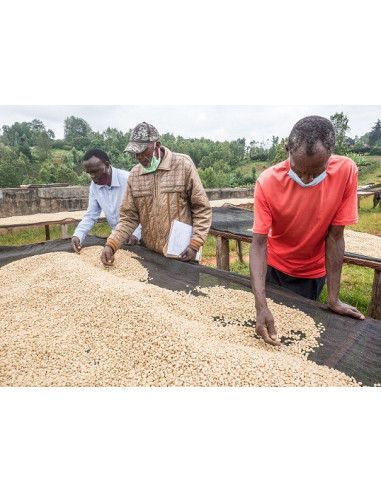 GourmetCoffee Specialty - Кения Nyeri 250g