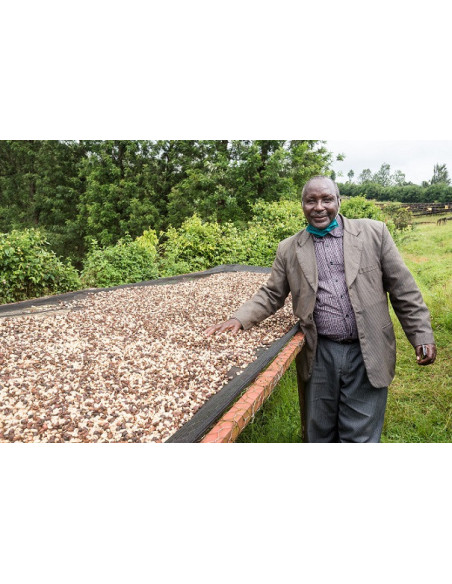 GourmetCoffee Specialty - Кения Nyeri 250g