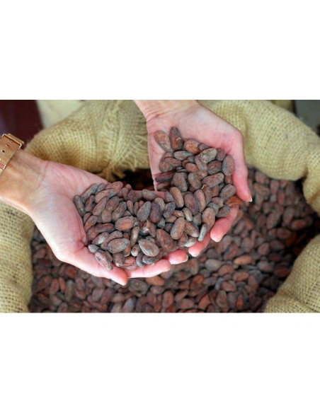 Млечен шоколад Bonnat Noisettes 55% с лешници