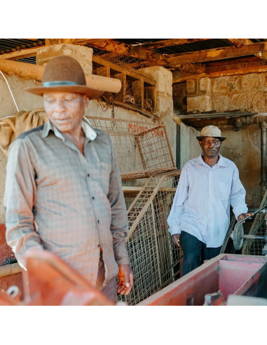 Nordbeans Rodolfina - филтър 250g