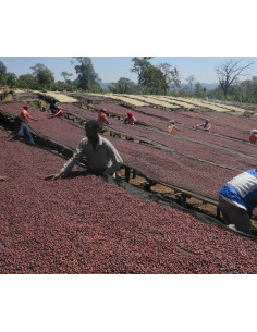 Кафе Francin Kenya Ndundu 250 г 2