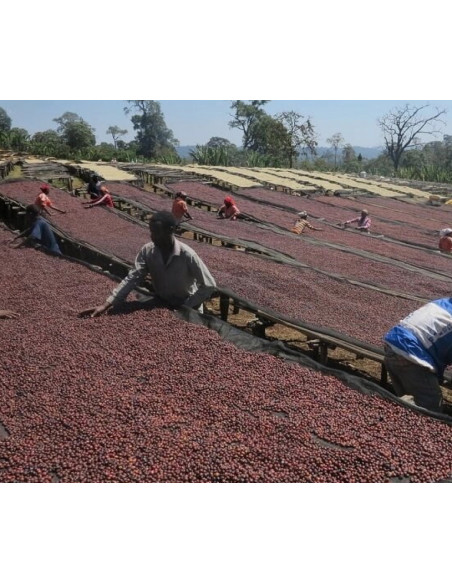 Кафе Francin Kenya Ndundu 250 г