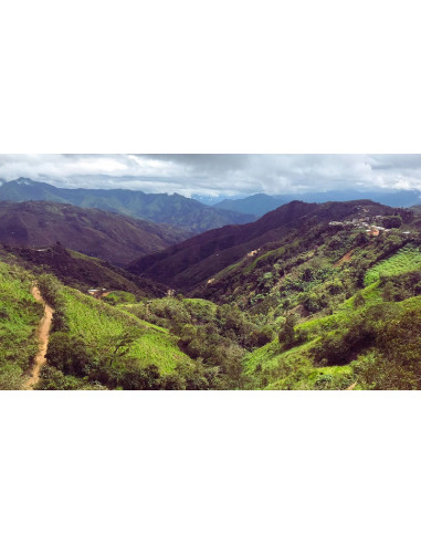 GourmetCoffee Specialty Peru Huabal 250g