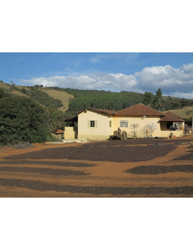 GourmetKáva Specialty  Brasil Vermelha ESP 250g