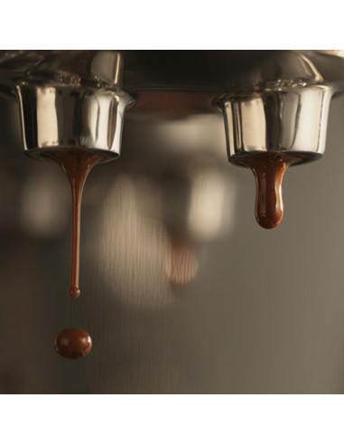 Лостова кафемашина SAGE THE BAMBINO™ PLUS SES500BTR