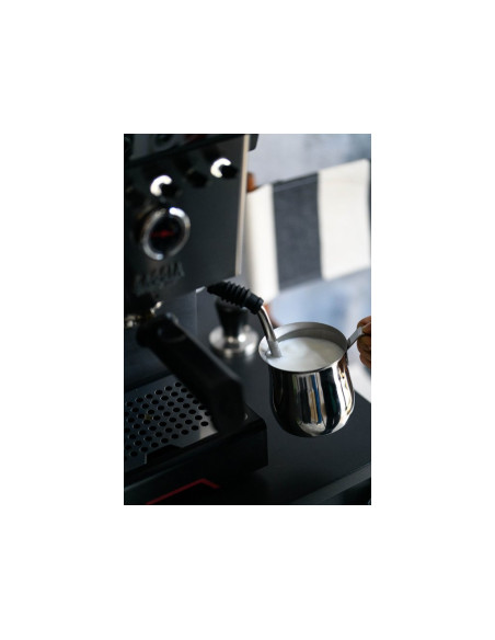 ЛОСТОВА КАФЕМАШИНА Gaggia Classic GT от неръждаема стомана