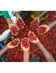 Nordbeans Funky Uganda Rwenzori 250 г 2