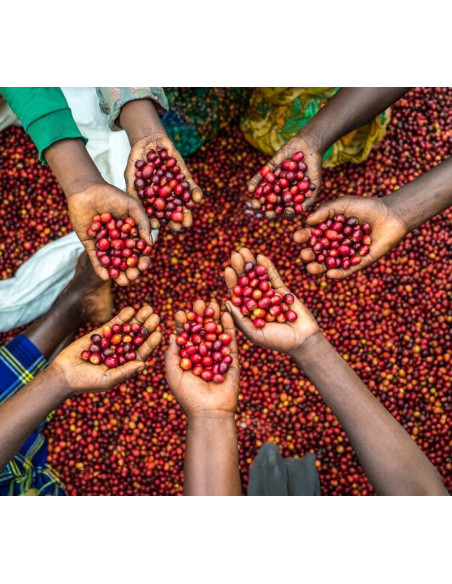 Nordbeans Funky Uganda Rwenzori 250 г