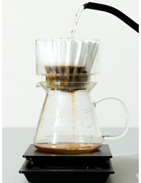 SIMPLIFY the Brewer прозрачен