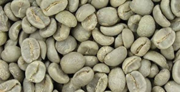 Зелено кафе - кафе за отслабване и профилактика